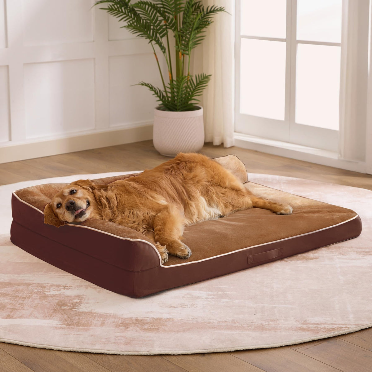 Aeroluxe XXL Orthopedic Dog Bed, Extra Large Dogs, 48"x35"x7.5", Beige