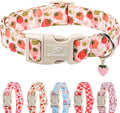 Babole Pet Strawberry Dog Collar for Small Dogs - Cute Spring Pink Dog Collars, Summer Pastel Puppy Collars, Soft Adjustable Boy Girl Dogs Collar with Quick-Release Buckle XS