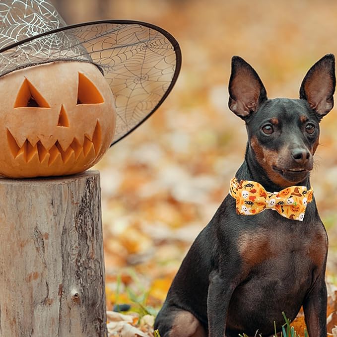 Bobo Rainbow Halloween Dog Collar, Pet Collar Bow Fall Puppy Collar Girl Boy Holiday Pet Collars Gift Bow Cute Soft Puppy Collar for Medium Dogs