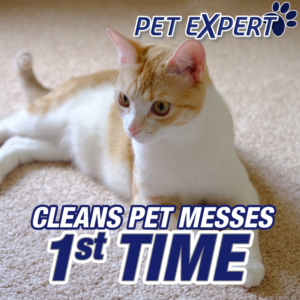 Resolve Pet Expert Stain and Odor Remover, Carpet Cleaner, Pet Stain and Odor Remover, Carpet & Upholstery Cleaner - Removes Stains and Odors, 22 oz (pack of 6)