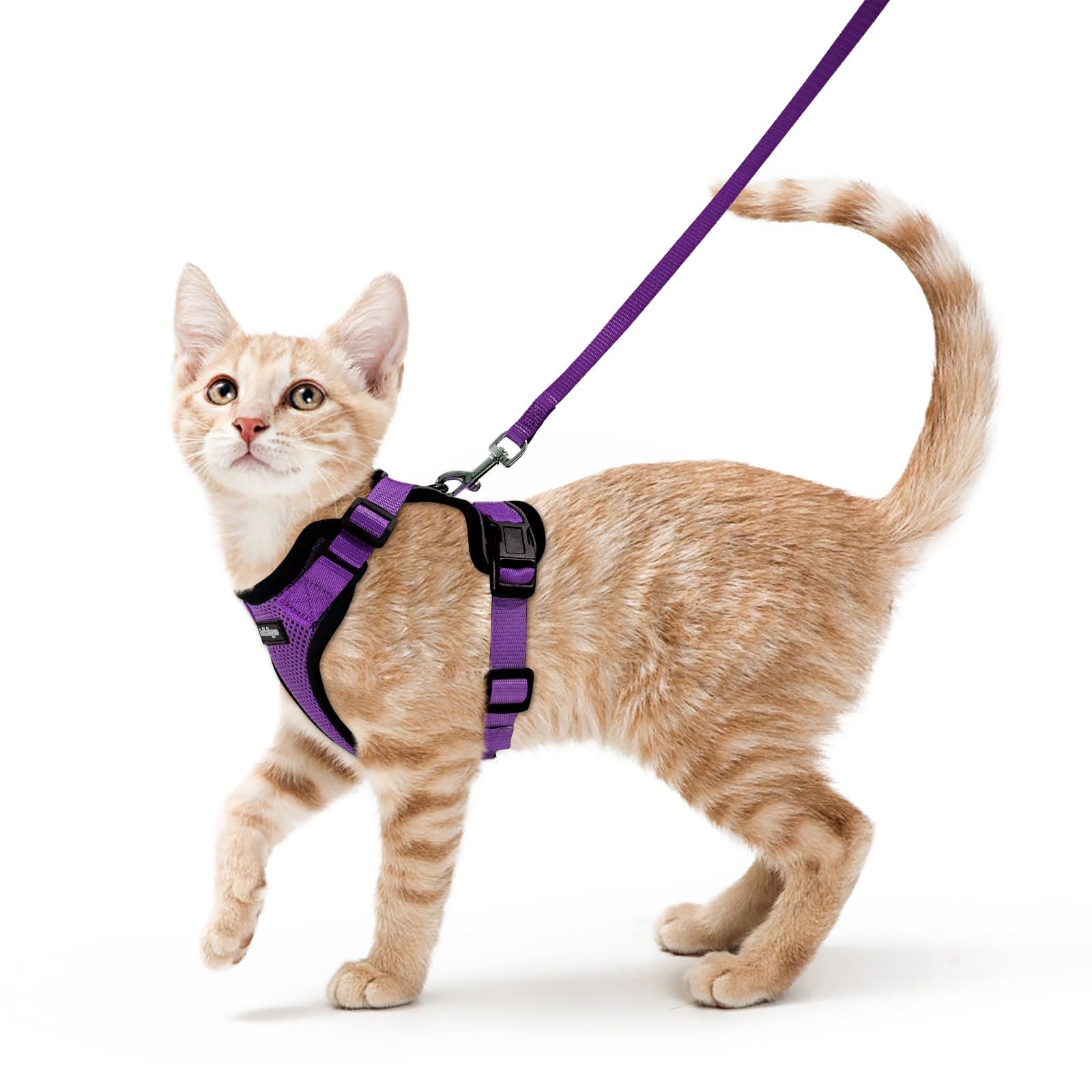 rabbitgoo Cat Harness and Leash Set, Escape Proof Vest, Emerald