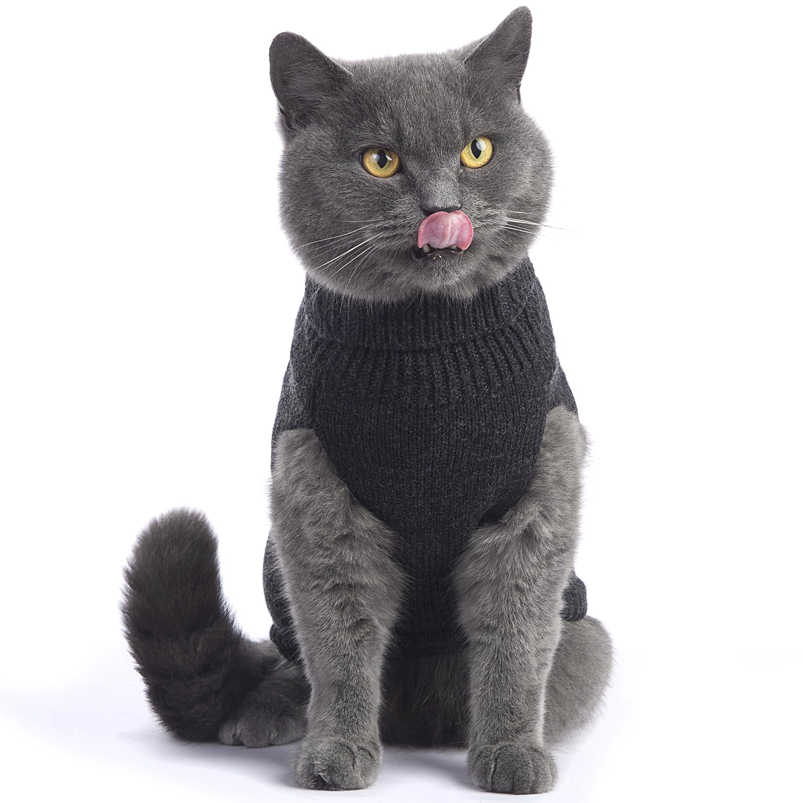 Jnancun Cat Sweater Stretchy,19 Colors,6 Sizes,Snug Winter (Dark Gray, Small, Vest)