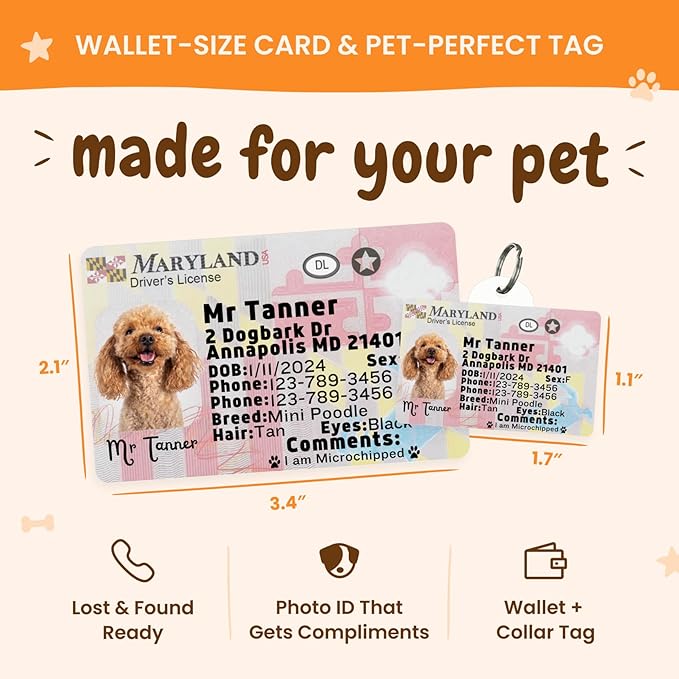 PawFurEver Personalized Dog Driver License ID Tag for Dogs & Cats - Custom Pet License Dog ID Tags Personalized Heavy Duty with Name, Photo & Phone Number, 50 States + DC (Newhampshire, Wallet Card)
