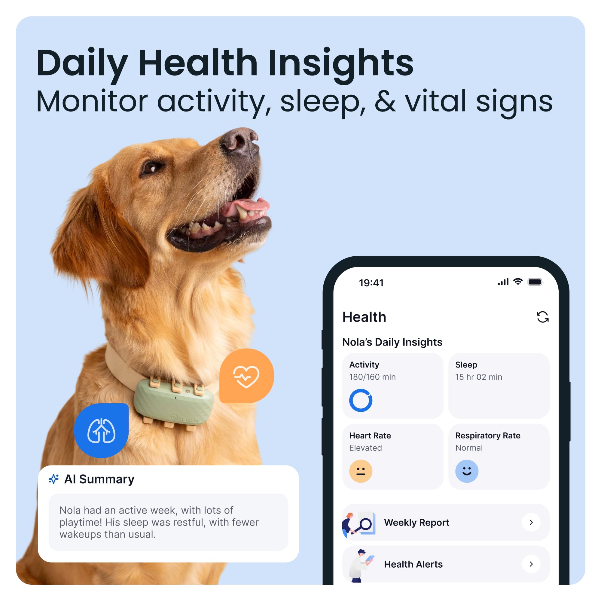 Tractive XL Smart Dog GPS Tracker | Live Pet Tracker with Virtual Fence | Vital Signs Monitoring of Heart & Respiratory Rate | Up to 1-Month Battery Life | Dog Collar Attachment (Green)