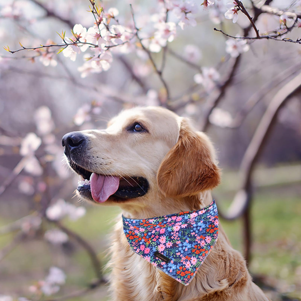 ARING PET Floral Dog Bandanas, Blue Pink Orange Flowers Pet Bandana Scarf Triangle Bibs for Puppy Small Medium Large Boy Girl Dogs Cats-L