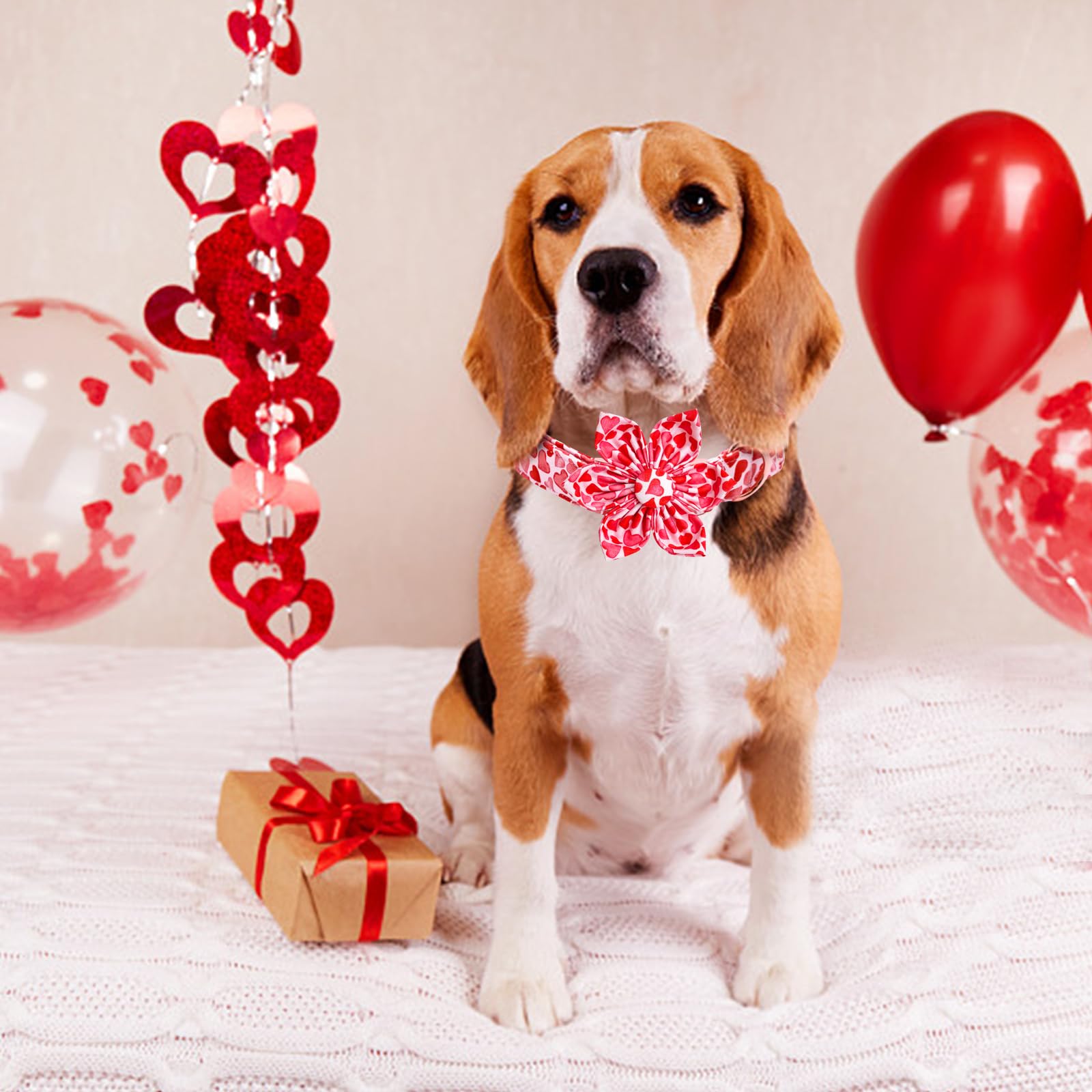 Lionheart glory Valentine's Day Dog Collar with Flower Dog Collars Red Hearts Dogs Collar with Bowtie for Large Dogs Spring Puppy Pet Collars Bows