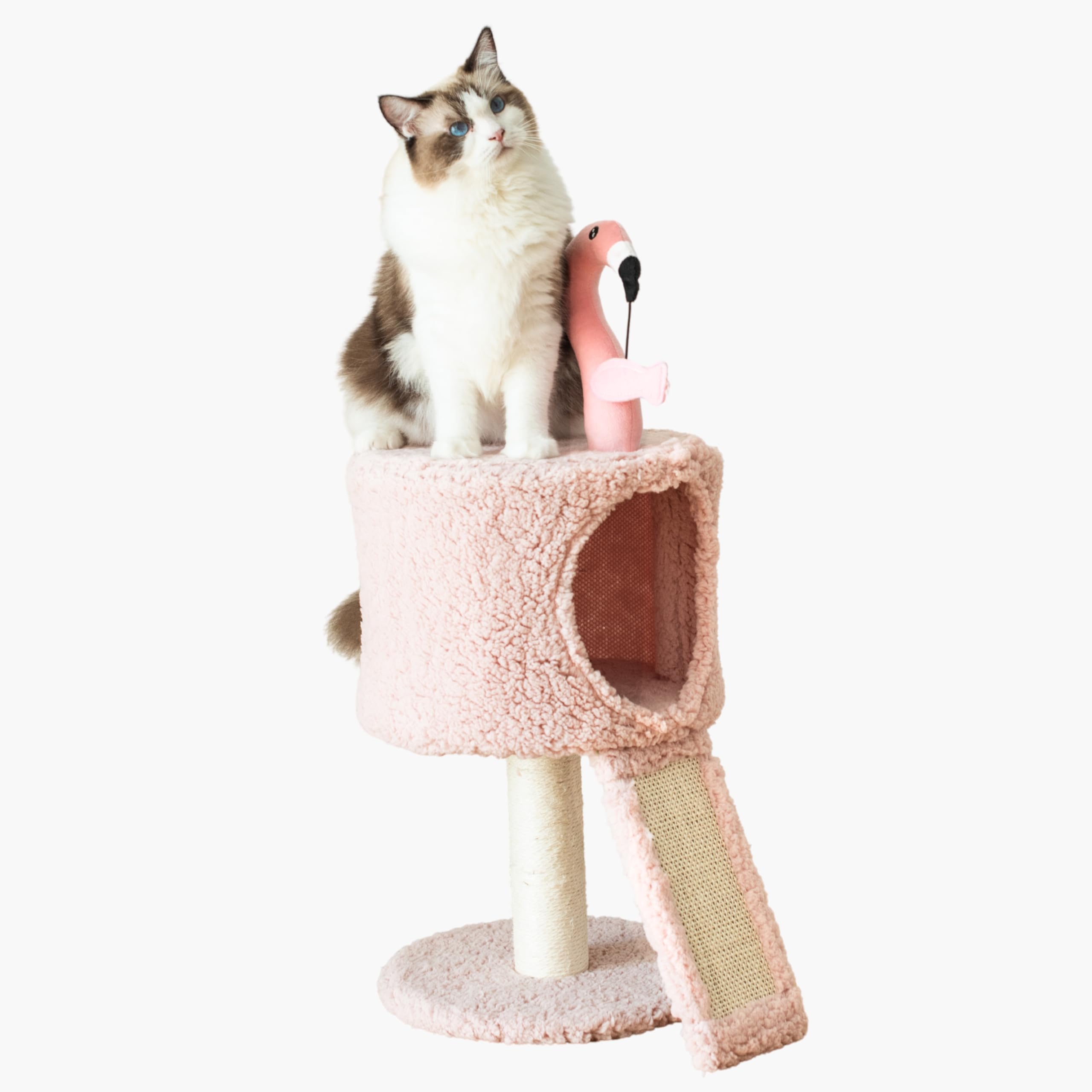 Catry 2-Level Small Cat Tree with Condo, Sisal Scratching Ramp & Post