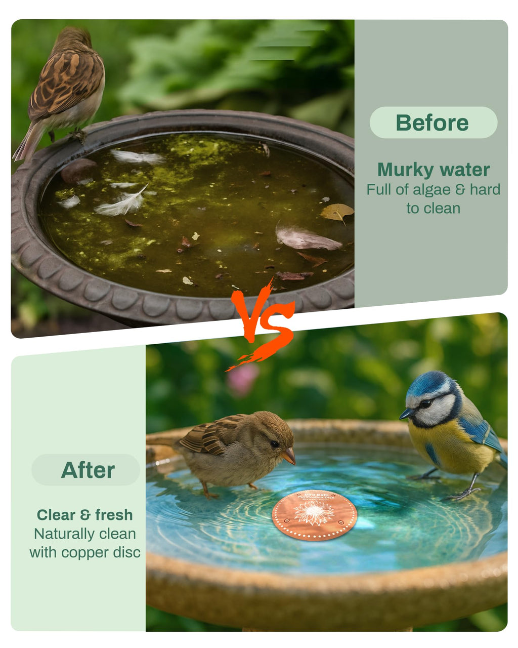 OICEME Bird Bath Purification Disk Pure Copper Outside Winter Solar Power Birdbath Wild Hummingbird Pedestal Fountain Cleaner Outside Humming Feeder Cage Dispenser Heater Outdoor Concrete Winter 3PCS