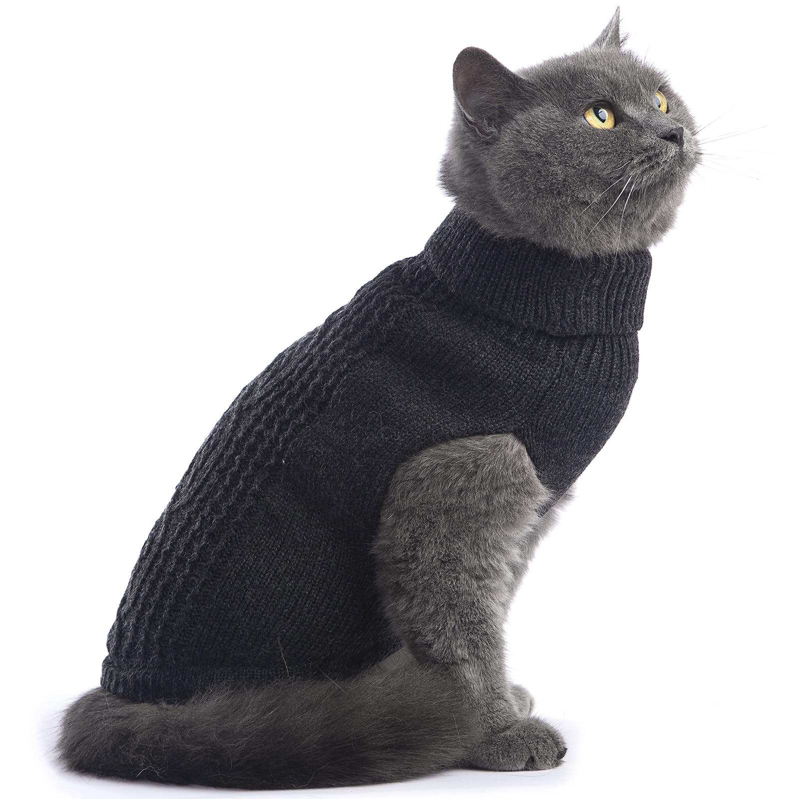 Jnancun Cat Sweater Stretchy,19 Colors,6 Sizes,Snug Winter (Dark Gray, Small, Vest)