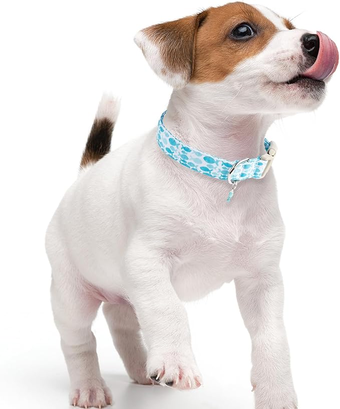 Faygarsle Fish Pattern Dog Collar, Blue and White, Summer Design for Small Medium Large Dogs, M