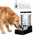 RIZZARI 2.64 Gallon Dog Water Bowl Dispenser:Large for Multiple Dogs