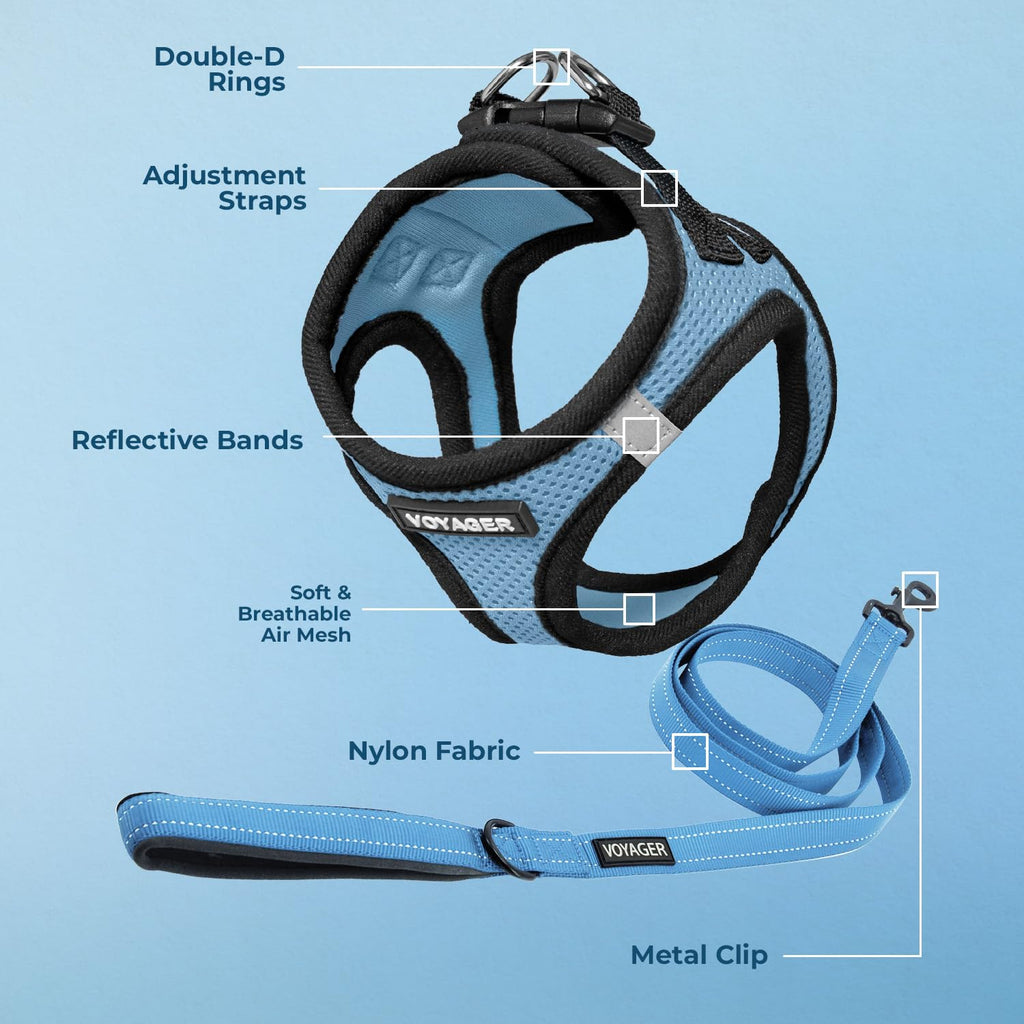 Best Pet Supplies Voyager Step-in Air All Weather Mesh Harness and Reflective Dog 5ft Leash Combo with Neoprene Handle, for Small, Medium and Large Breed Puppies - Baby Blue/Black Trim, X-Small