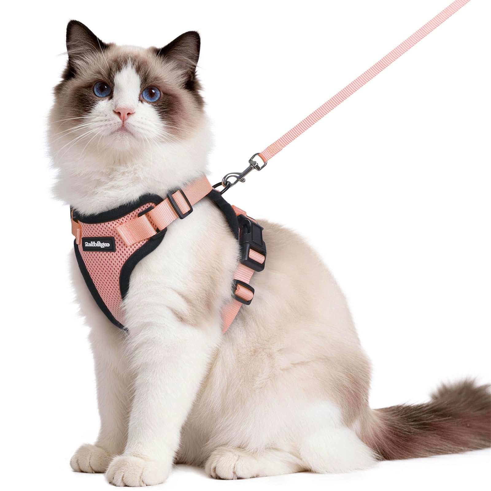 rabbitgoo Cat Harness and Leash Set, Escape Proof Vest, Emerald
