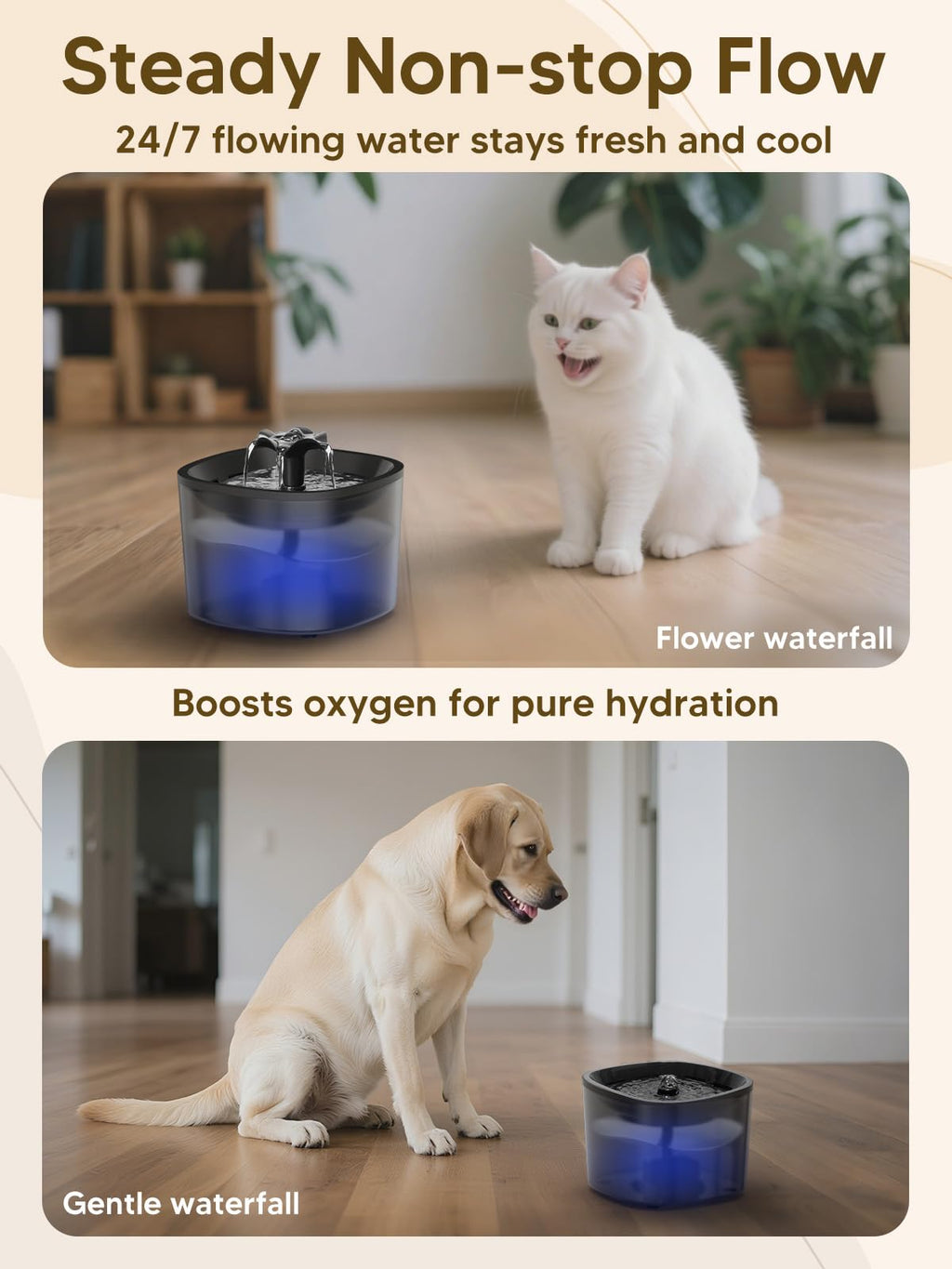 Cat Accessories for Puppy Kitten