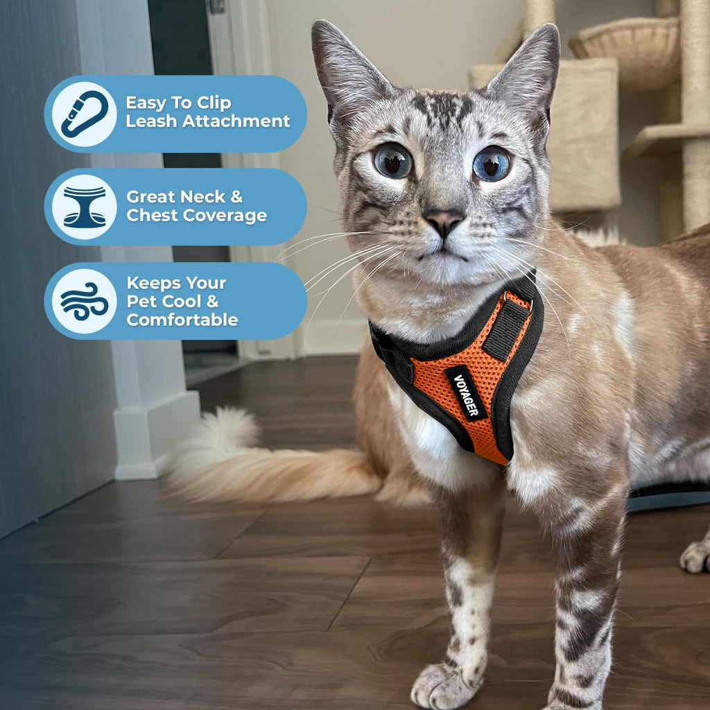 Voyager Escape-Proof Step-in Lock Cat Harness & 5ft Neoprene-Handle Leash Set All-Weather Mesh with Reflective Stitching for Small to Large Cats by Best Pet Supplies, Orange/Black Trim, XXXS