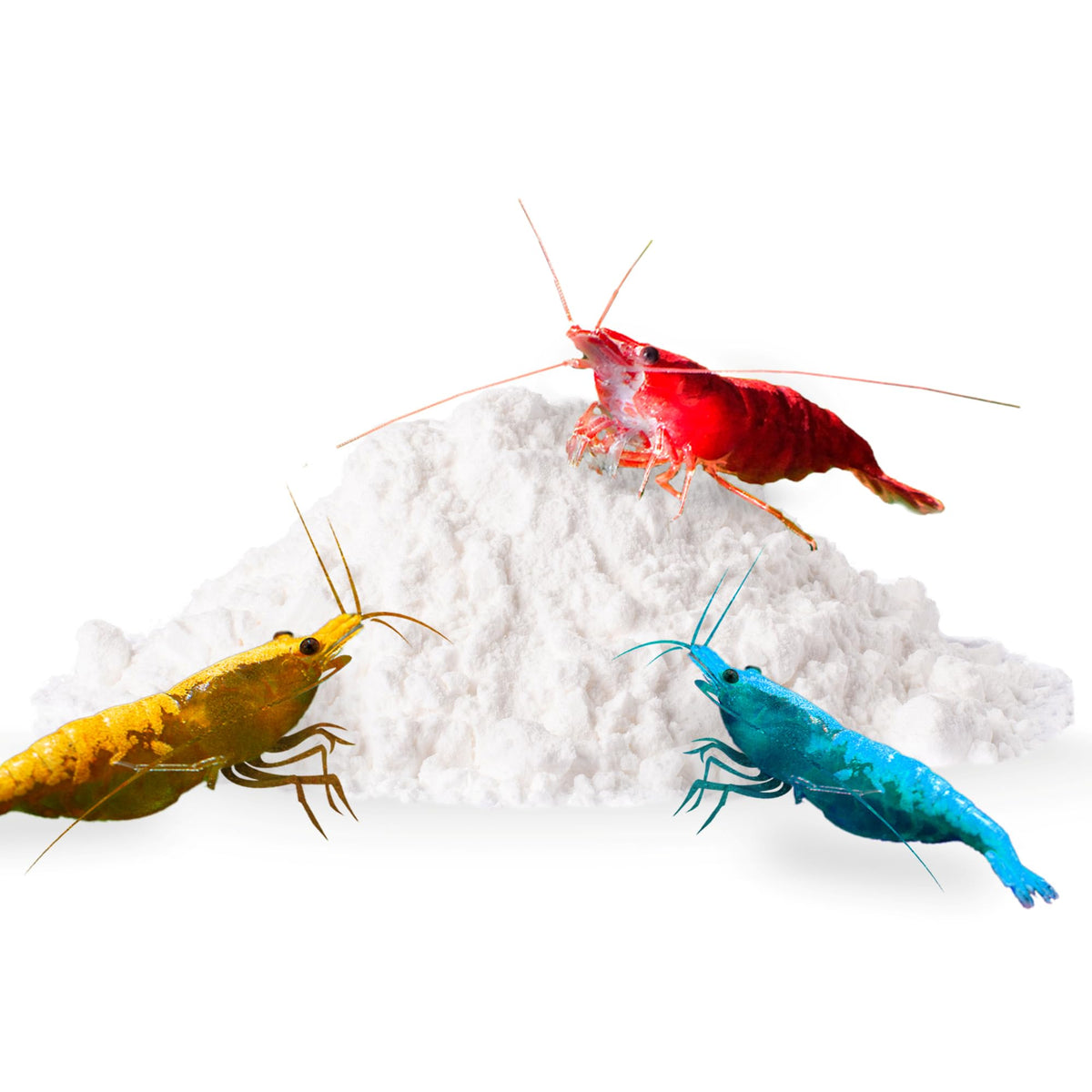 SunGrow Shrimp Rocks, Calcium, Magnesium Rocks for Crayfish, Hermit Crab, Snails, Crustacean Care, Aquarium Decor for Crystal Red, Amano and Ghost Shrimps, Nano Tank Accessories, Fish Tank Supplies