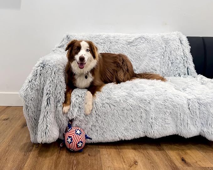 PJYuCien Dog Blankets for Medium Large Dogs Washable - Fluffy Fuzzy Cat Blanket for Couch, Puppy Throw for Furniture with Polyester Fleece, Super Soft Plush for Pet Kitten Doggy, Grey, 50" x 60"