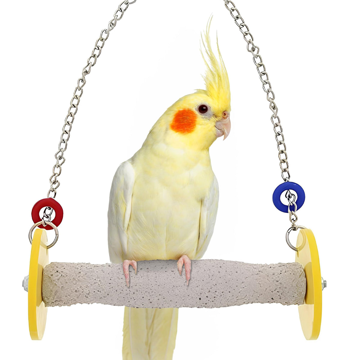 Sweet Feet and Beak Roll Bird Swing, African Grey, Medium, Blue