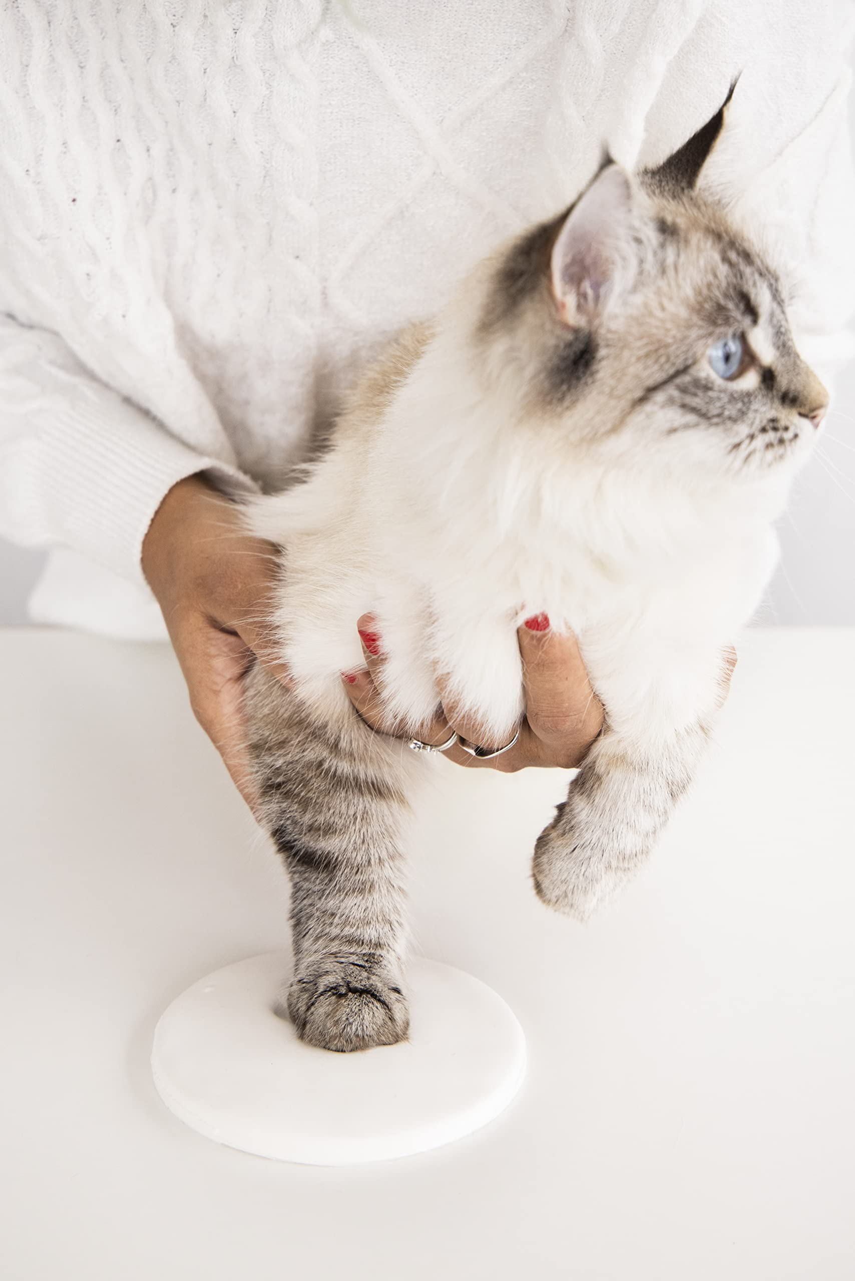 Pearhead Pet Paw Print Keepsake Ornament Kit, No-Bake Clay Kit