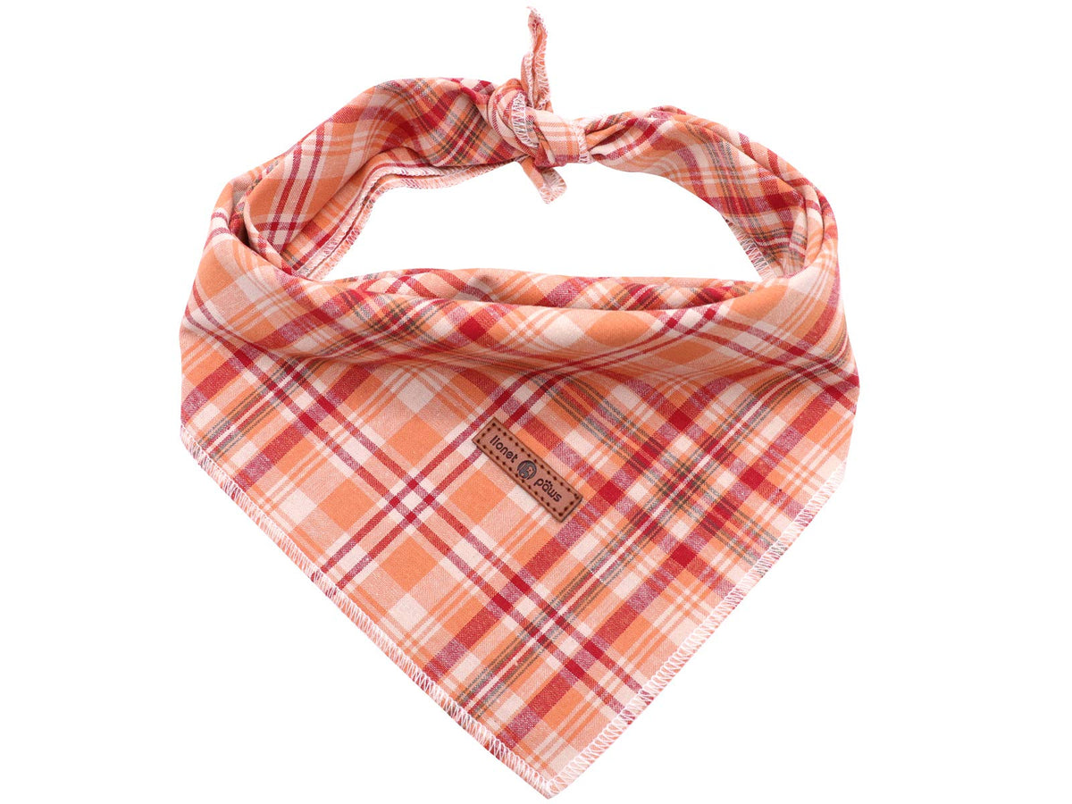 Lionet Paws Christmas Dog Bandana Washable Cotton Handkerchief Scarf Triangle Christmas Red Plaid Dog Bandanas for Medium Large Dogs Girl Boy