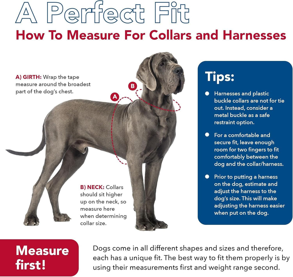 Coastal Pet K9 Explorer Reflective Adjustable Padded Dog Harness - Plush Chest Pad for Comfort - No-Pull Dog Harness for Small and Large Dogs - Berry - 5/8" x 12"-18", X-Small