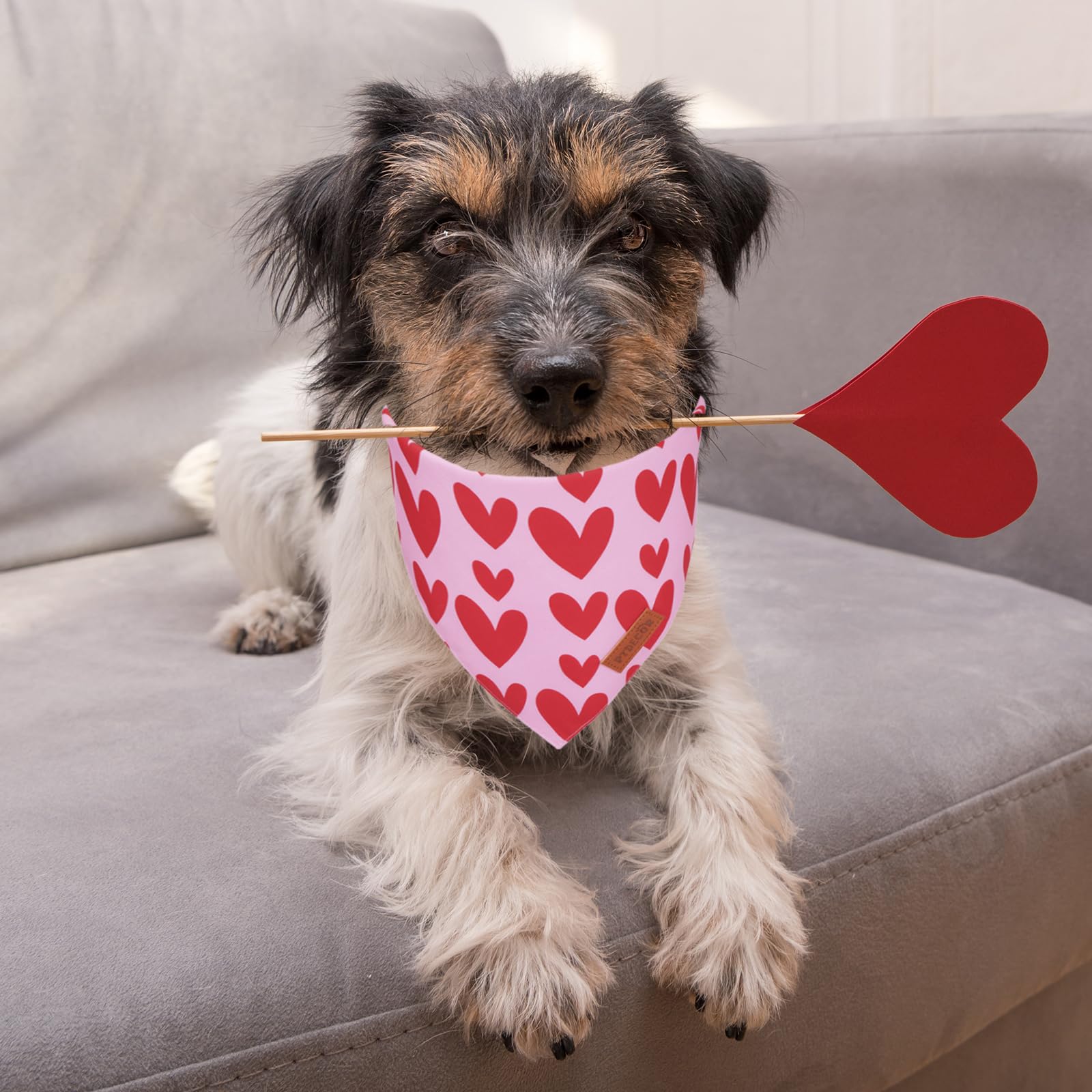 PTDECOR Pink Valentine Dog Bandana, Red Heart Valentine Pet Scarf, Small