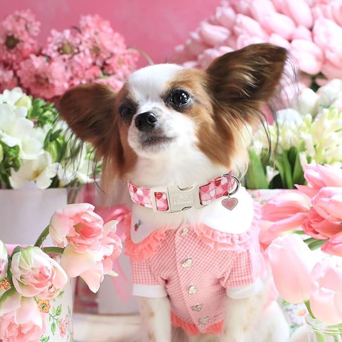 Babole Pet Valentines Dog Collar for Giant Large Dogs - Cute Valentine Pink Hearts Girl Dog Collars, Adjustable Girly Puppy Collar with Quick Release Buckle for Female Dogs XL