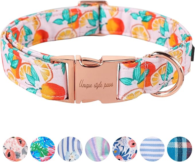 Unique style paws Dog Collar Metal Buckle Collar for Autumn Winter Christmas for Small Medium Large Boys Girls Dogs — S