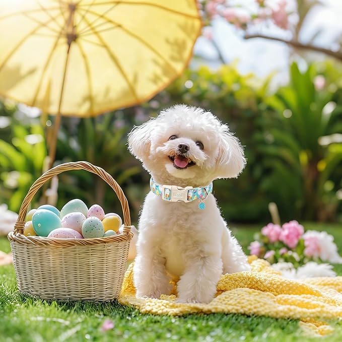 Babole Pet Easter Dog Collar for Puppy Small Dogs - Cute Easter Egg Hunt Dog Collars for Boy Girl Dogs, Playful Bunny & Chick Print, Lightweight Adjustable Spring Holiday Dog Collar XS