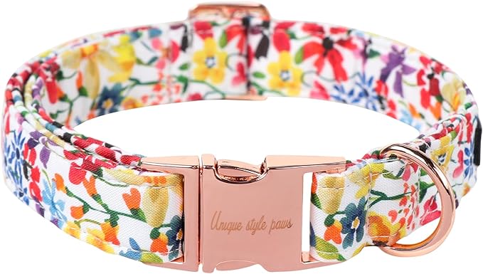 Unique style paws Dog Collar Metal Buckle Collar for Autumn Winter Christmas for Small Medium Large Boys Girls Dogs — S