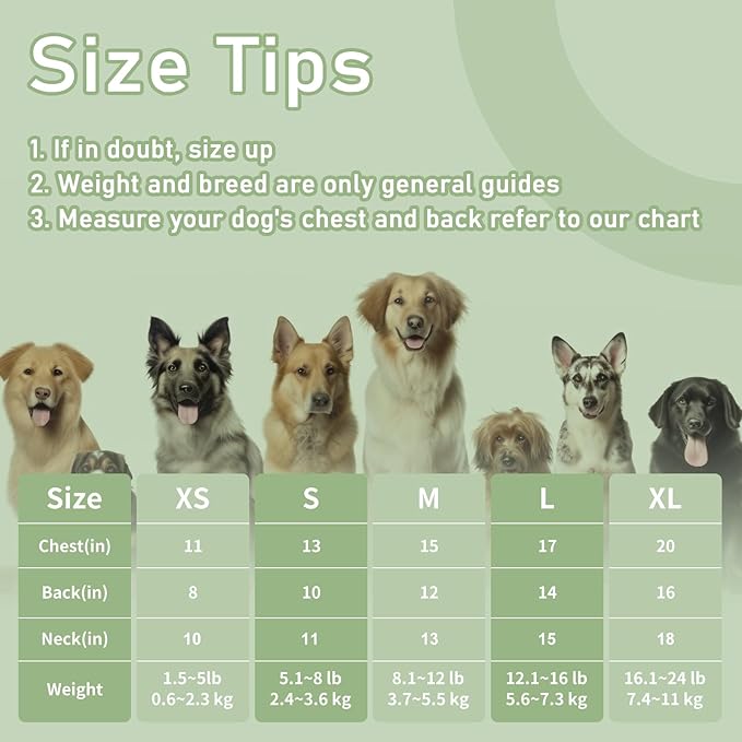 Dog Clothes, Stripe Dogs Shirts for Small & Medium Breeds, Pet Tank Top, Breathable Waffle Fabric Puppy Outfit, Shirt for Chihuahua, Yorkie, Dachshund, Corgi (Green, Small)