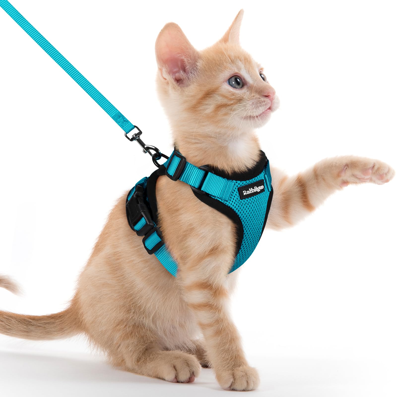 rabbitgoo Cat Harness and Leash Set, Escape Proof Vest, Emerald