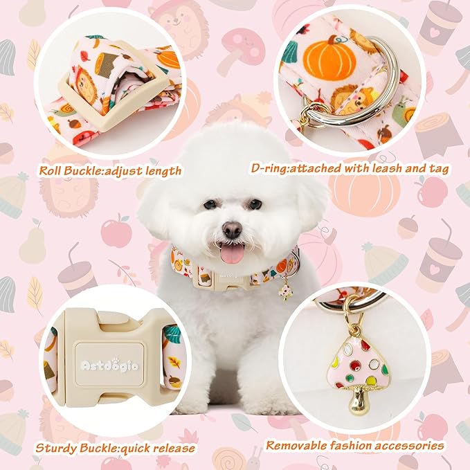 Astdogio Fall Woodland Dog Collar, Playful Squirrel & Pumpkin Print on White Collar for Small Medium Large Dogs, Breathable, Adjustable & Comfortable Puppy Collar for Fall Walks & Pet Photos-XS