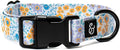 Lucy & Co. Among The Wildflowers Dog Collar - Durable Lightweight Designer Collar for Pets - Adjustable Metal Safety Buckle - Purple Floral - Large