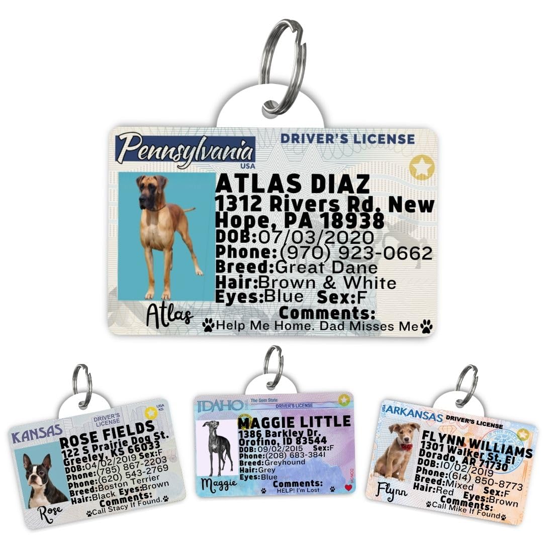 Dog Tags Personalized, Dog ID License Tag for Pets (Washington, Tag)