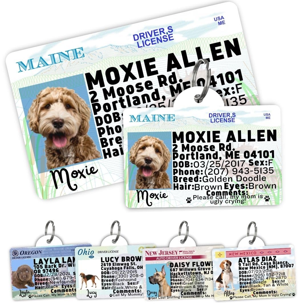 Dog Tags Personalized, Dog ID License Tag for Pets (Arizona, Wallet Card)