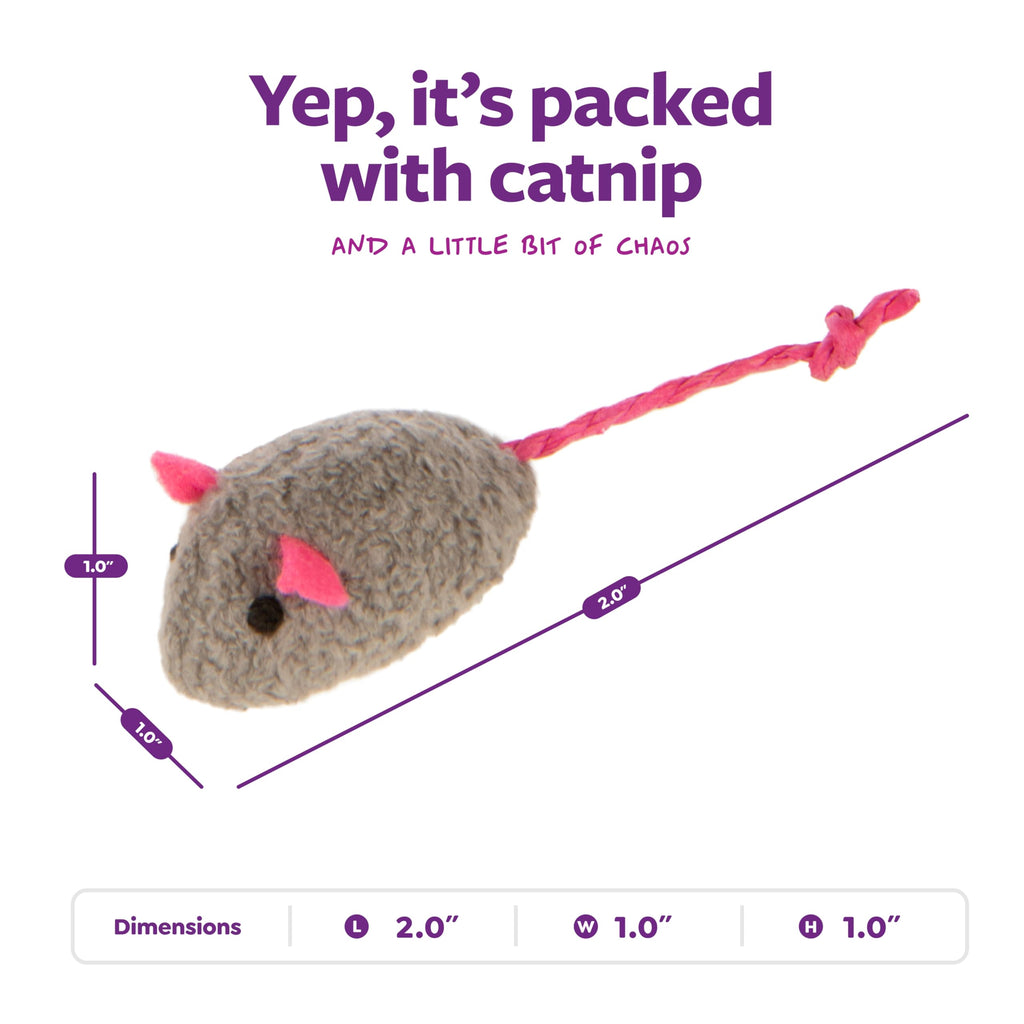 SmartyKat Skitter Critters Value Pack Catnip Cat Toys - Gray/Cream, Set of 10