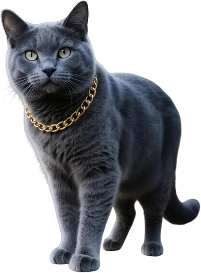 Cwyza Gold Cat Chain Collar,Adjustable Cuban Link Necklace(Gold, S)