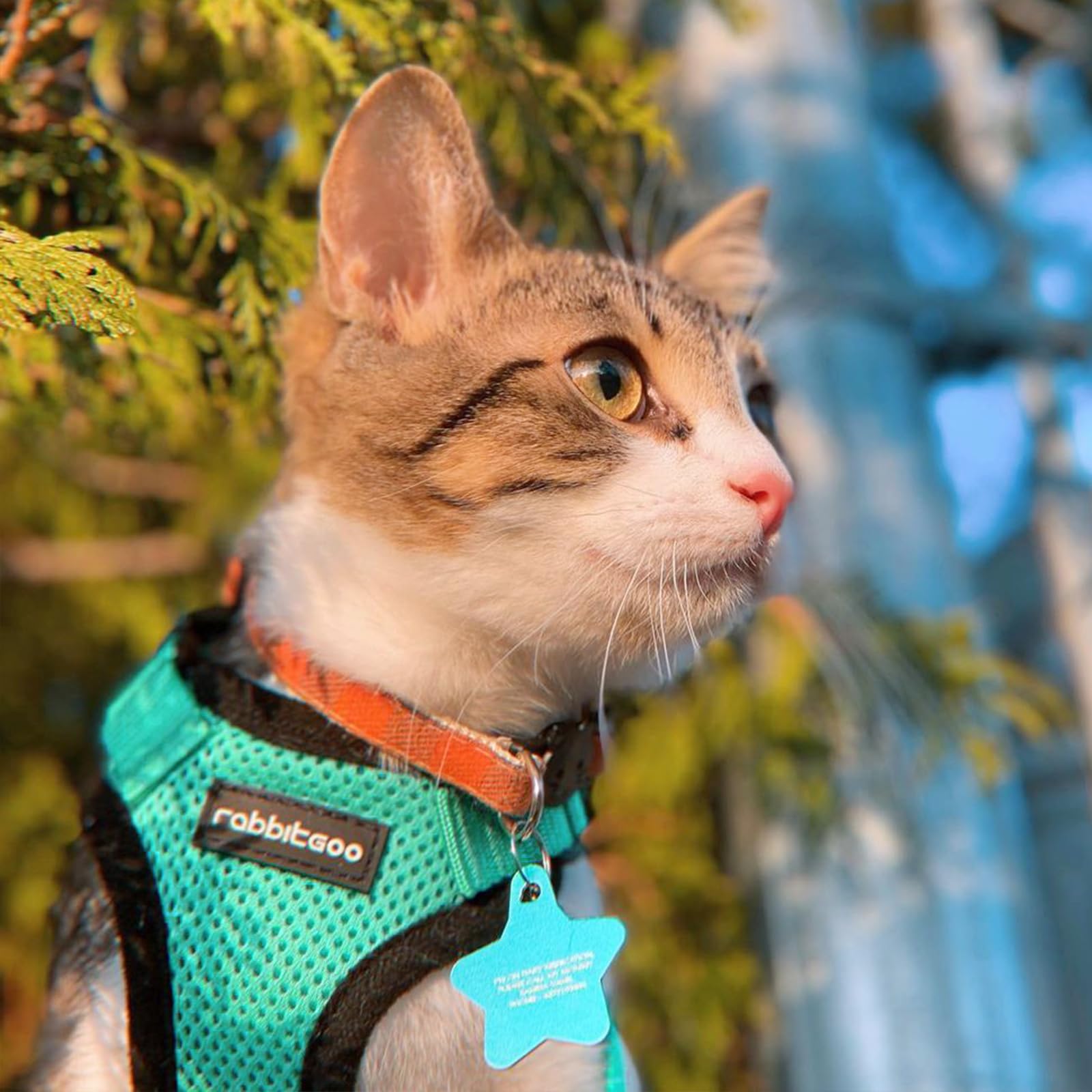 rabbitgoo Cat Harness and Leash Set, Escape Proof Vest, Emerald