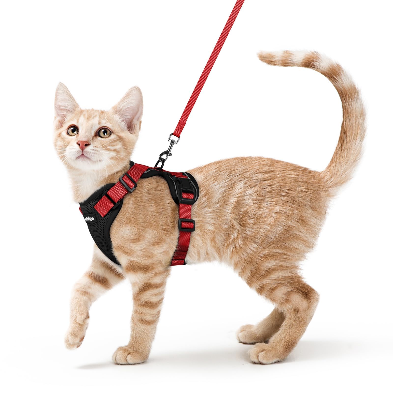 rabbitgoo Cat Harness and Leash Set, Escape Proof Vest, Emerald