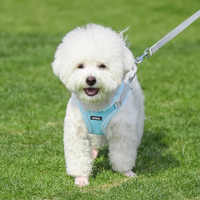 AIITLE Easy Walk Dog Harness and Leash Set - Pet Supply No Pull, Step in Adjustable Dog Harness with Padded Vest for All Weather, Dog Harness No Choke Over, Easy to Put on Medium Dogs Blue L