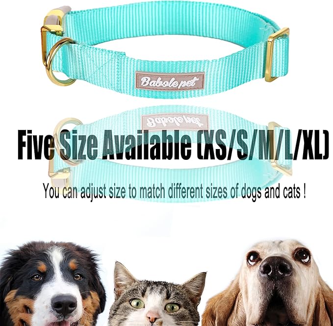 Babole Pet Nylon Dog Collar - Adjustable Lake Blue Soft Webbing Dog Collars for Small Medium Large Dogs Boy Girl Puppy Collar with Safety Metal Buckle M
