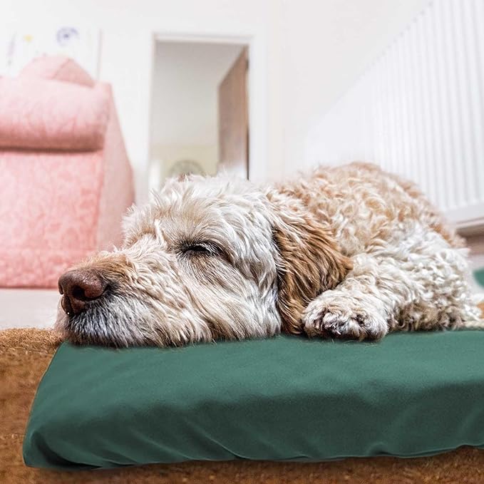 Dog Bed Cover Waterproof Replacement Machine Washable Covers for 54x44 Inch Dog Bed Heavy Duty Scratch Resistant Mattress Protector Pet Bed Cover Only Dark Green