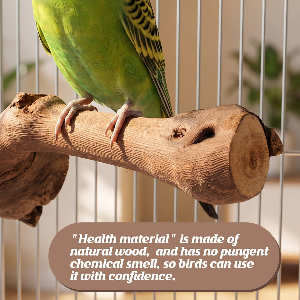 5PCS Bird Perch Stand Natural Wooden Parrot Stand Branch,3 Grape Wood Perch,2 Stand,Paw Grinding Fork Parakeet Chewing Stick Exercise Training Branches for Cockatiels,Small Medium Birds