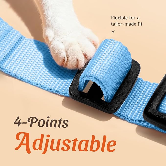 Dooradar Cat Harness and Leash Set, Adjustable and Escape Proof, S