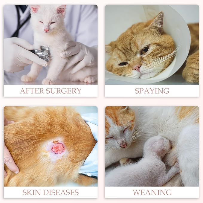 ANWA 2 Pack Cat Recovery Suit - Breathable Cat Onesie for Cats After Surgery Female, Kitten Surgery Recovery Suit Female Abdominal Wound