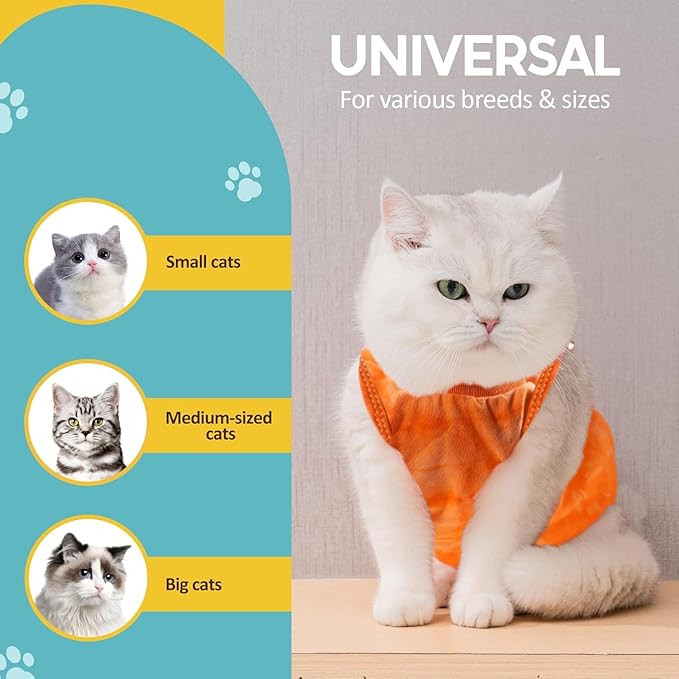 Avont Cat Recovery Suit - Kitten Onesie for Cats After Surgery