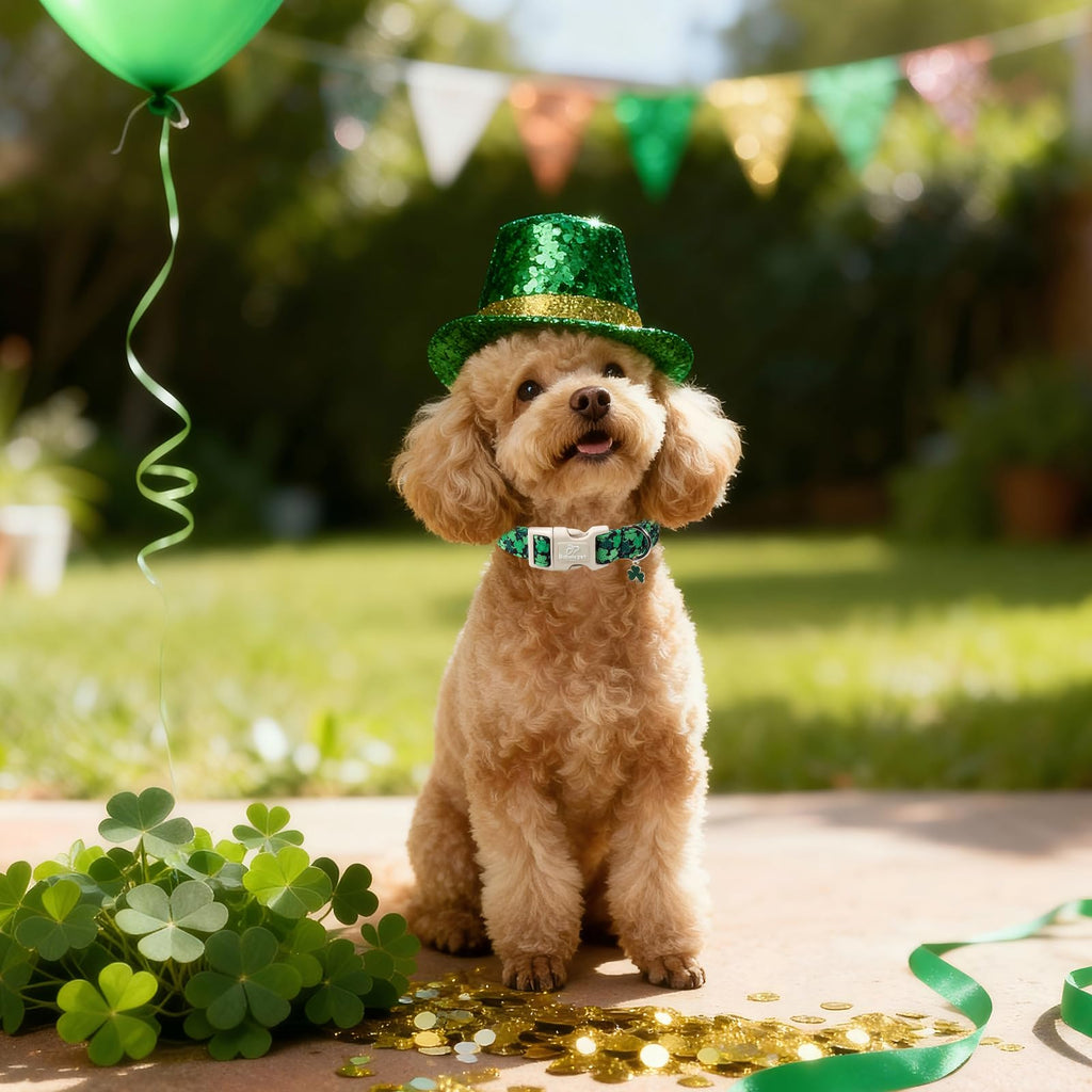 Babole Pet St Patricks Day Dog Collar for Large Dogs - Green Lucky Clover Dog Collars, Lightweight Adjustable Irish Festival Shamrock Dogs Collars with Quick Release Buckle L