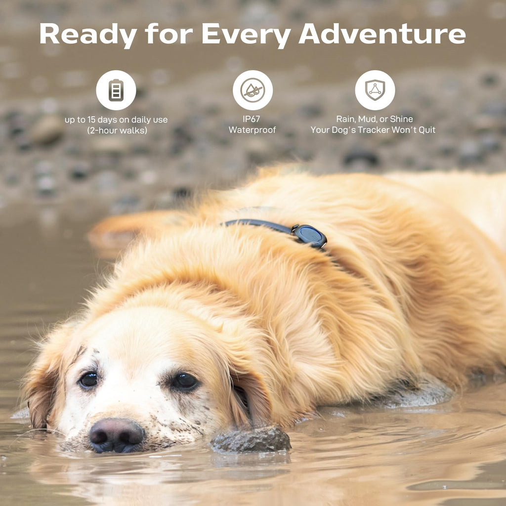Outdoor GPS Dog Tracker – No Monthly Fees, No Phone or Cellular Signal Needed, Real-Time Tracking for Remote & Rural Areas, Hiking, Camping, Farms & Large Open Spaces(Tracker 2)