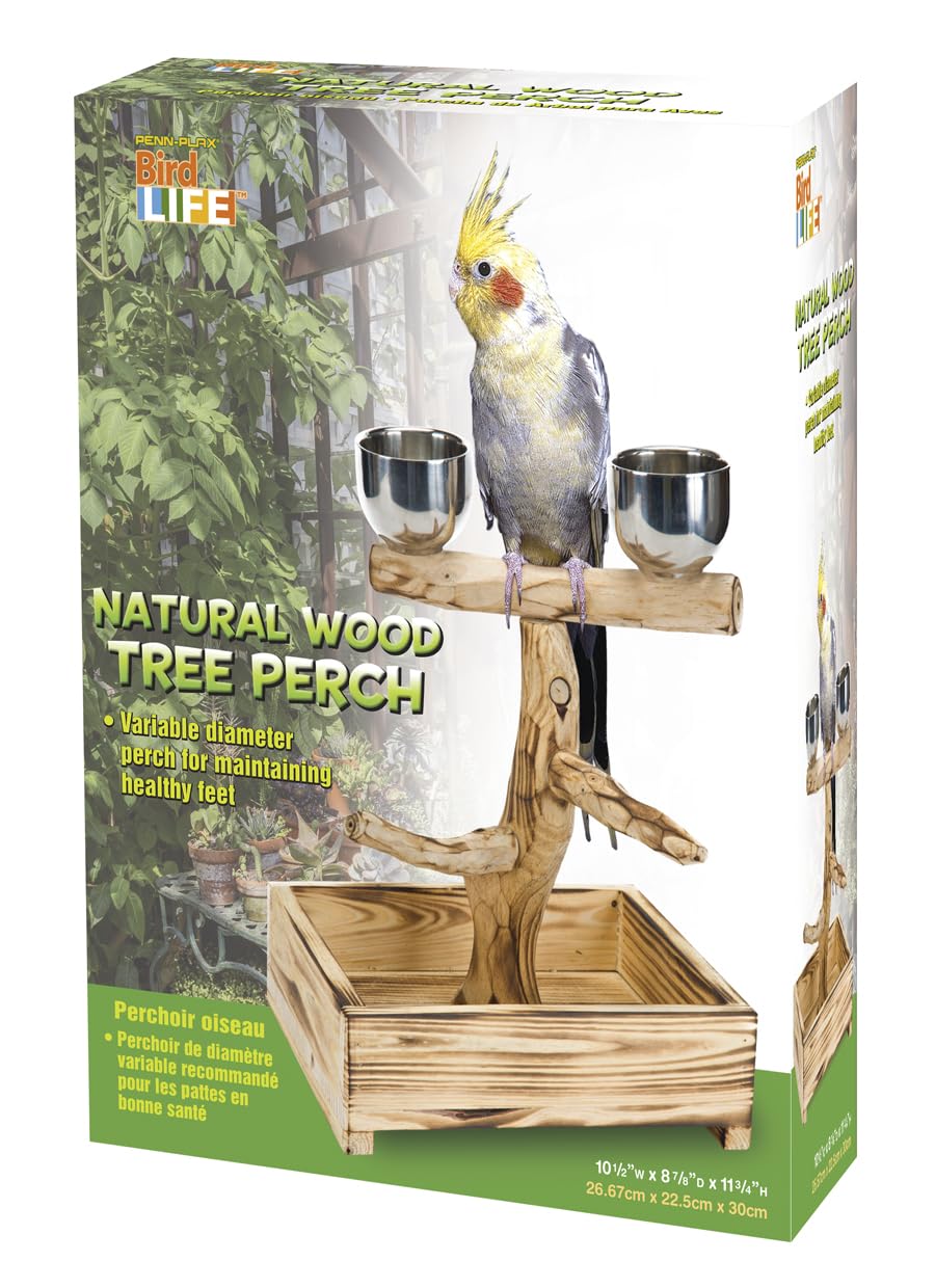 PENN-PLAX Bird-Life Natural Wood Tree Perch for Small and Medium Birds – Includes Food and Water Bowls with Drop Tray – Medium
